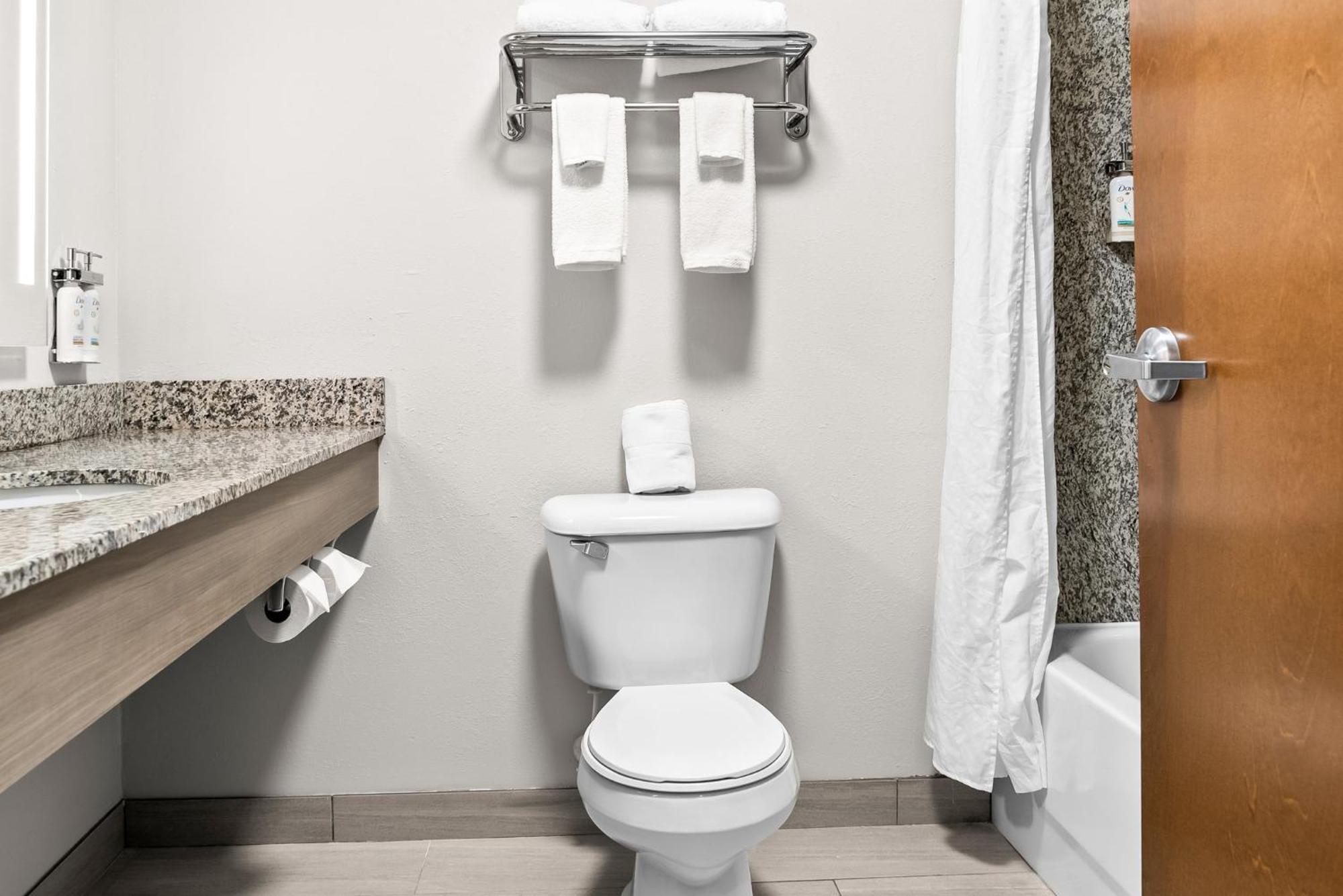 Holiday Inn Express & Suites Detroit - Novi By Ihg Extérieur photo
